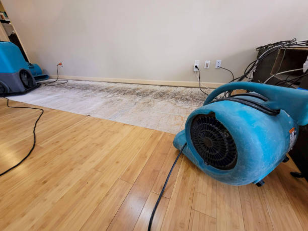 Professional Flood Damage Cleanup technician working in Cinebar, WA